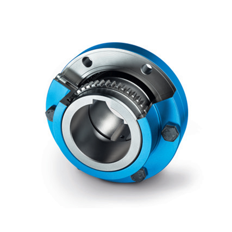Serie RSK-zapex tipo zn-znn GIUNTI TORSIONALMENTE RIGIDI Trasmissione a coppia elevata