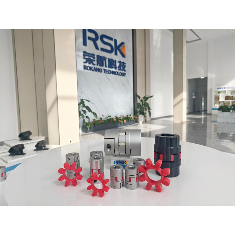 Tipo a vite con accoppiamento a ragno in acciaio inossidabile RSK-CPFG per apparecchiature di automazione industriale